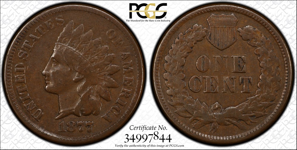 1877-IHC-For-Grading