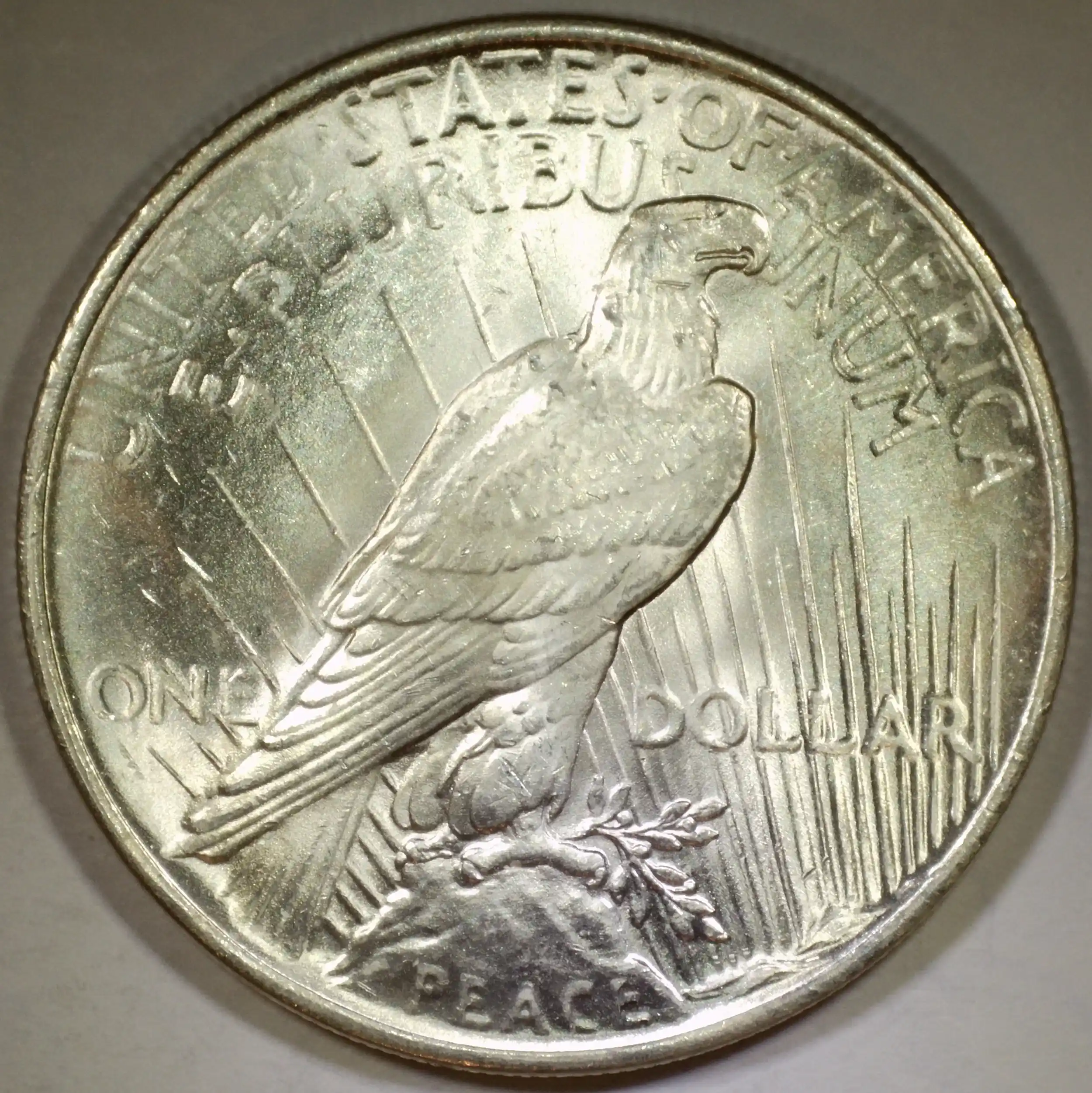 1922-Peace-Dollar-Grade-Opinions