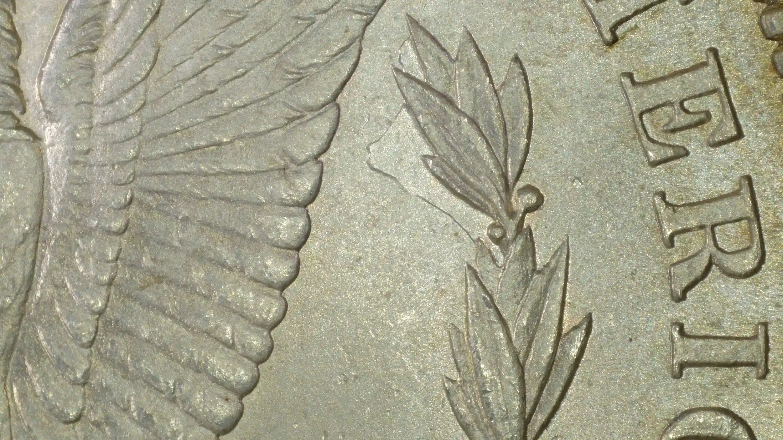 1880-Morgan-Dollar---VAM-32A-Or-24A?