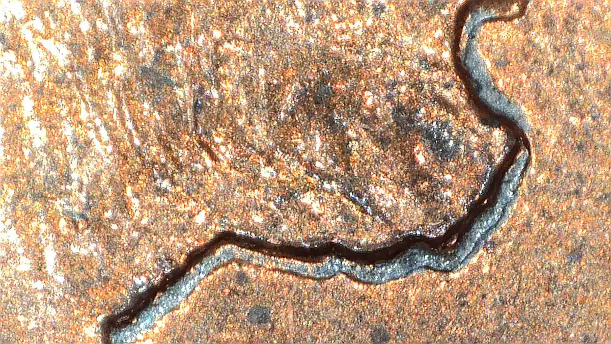 1993-Lincoln-Cent---What-Caused-This?