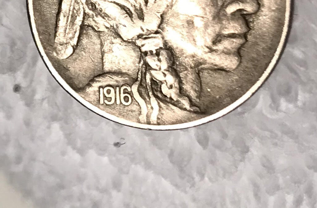 1916-P-Buffalo-Nickel-No-F-And-2-Feather-Variety