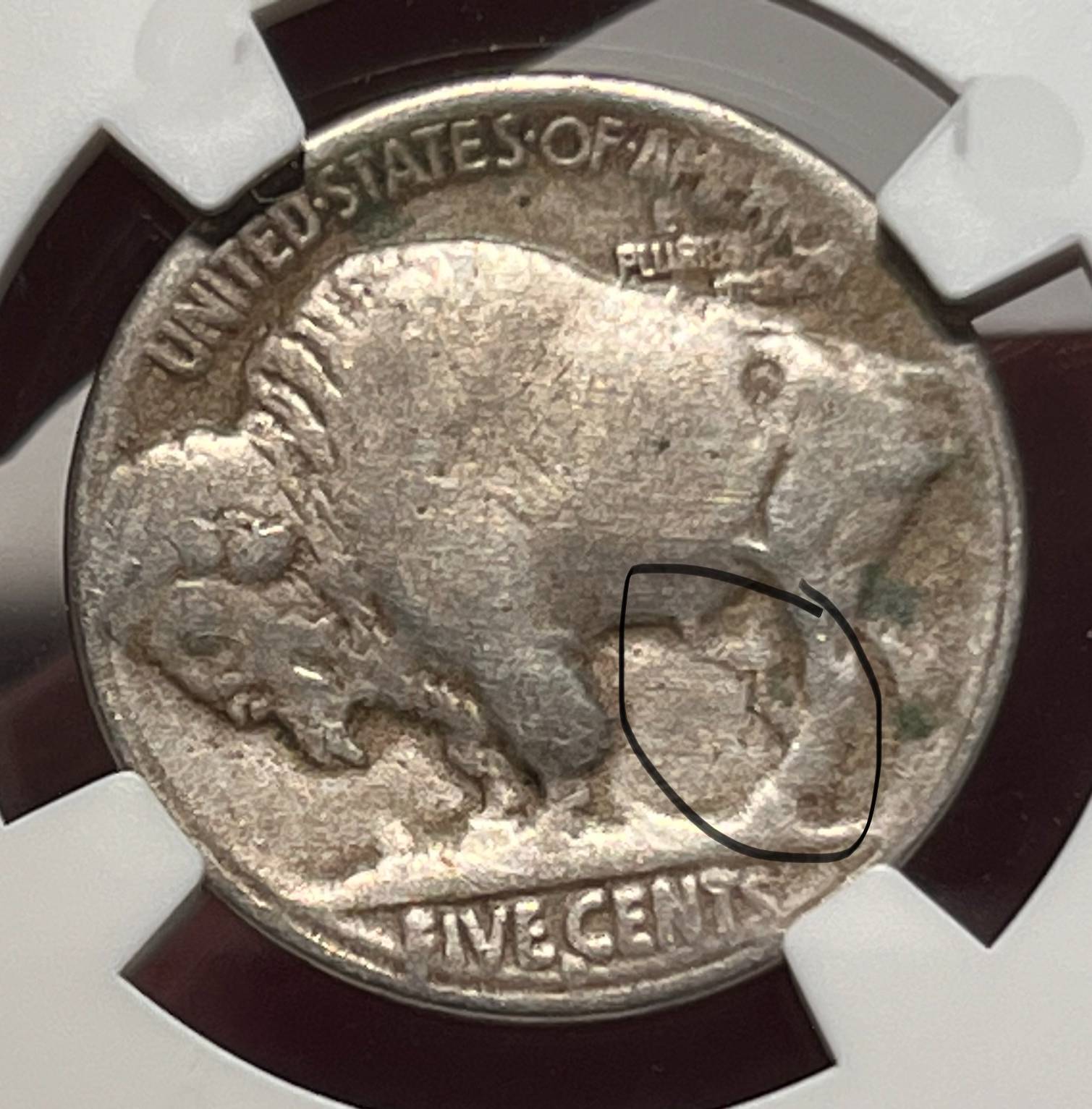 1913-Buffalo-Nickel-.s-Or-D?