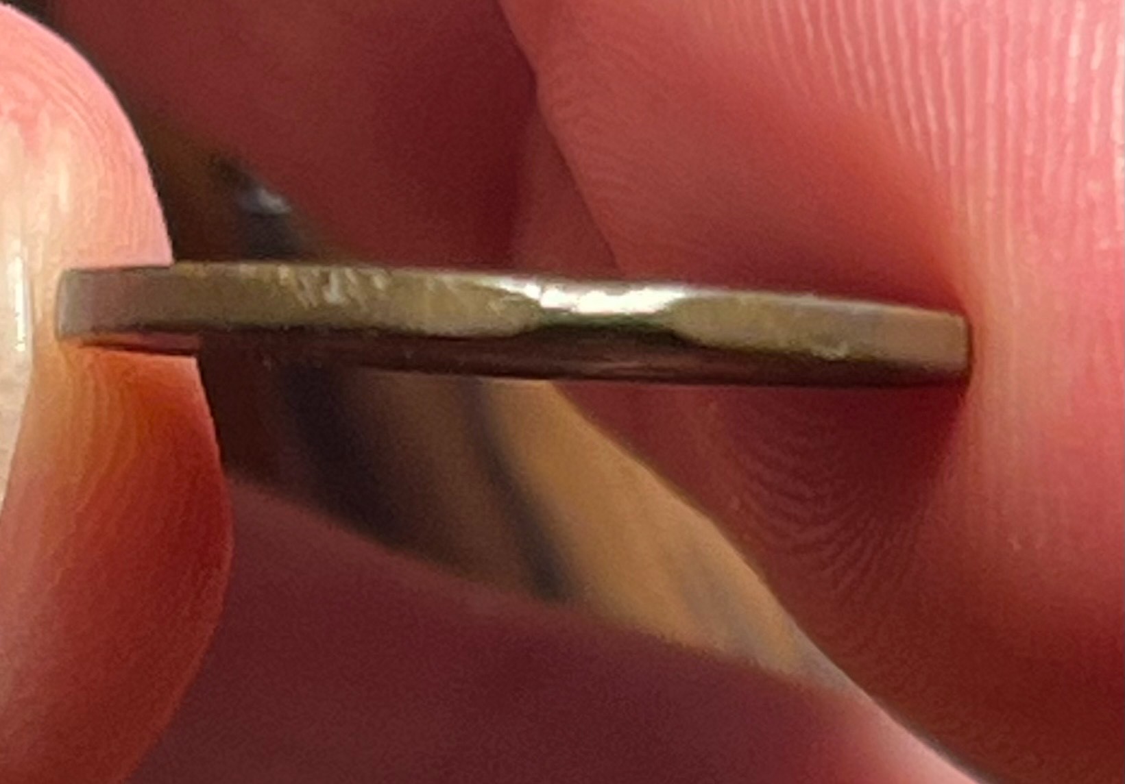 1864-L-Indian-Cent-Rim-Clip-Error?