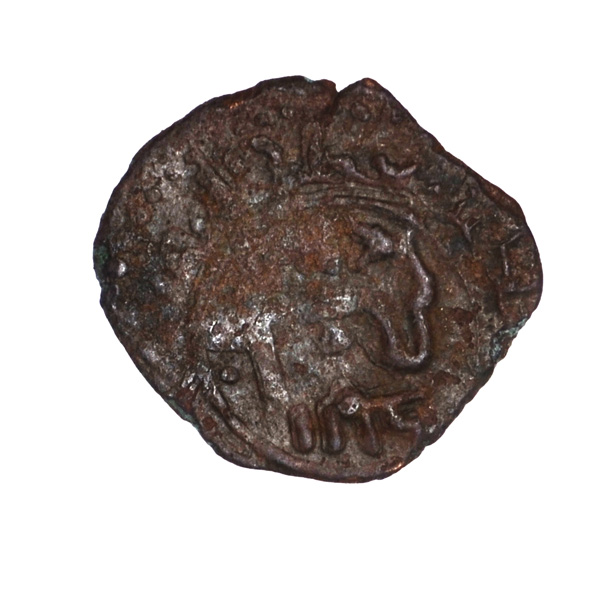 Help-To-Identify-Copper-Coin-Rex-W