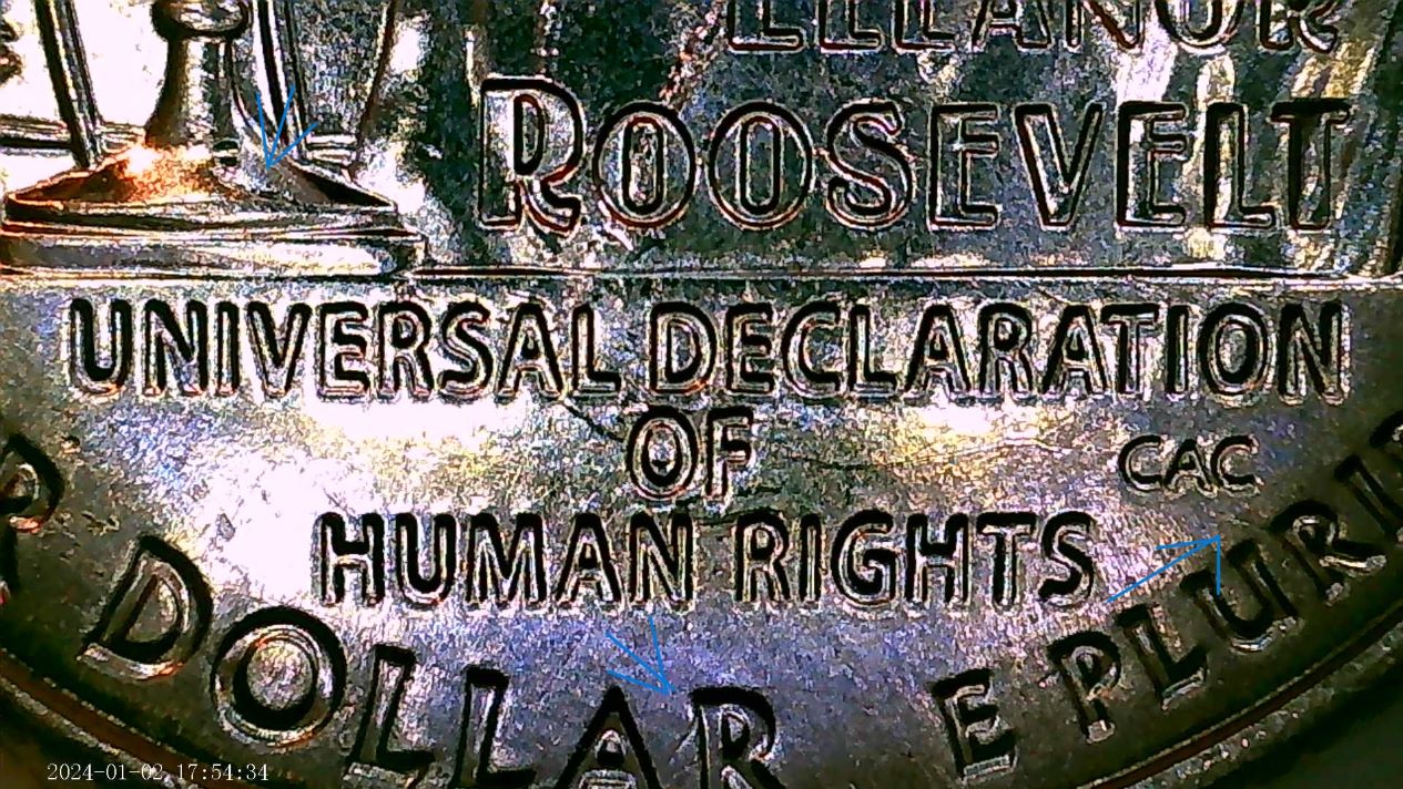 2023-Eleanor-Roosevelt---What-Is-It?-Not-A-Scratch