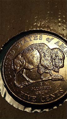 2005-D-