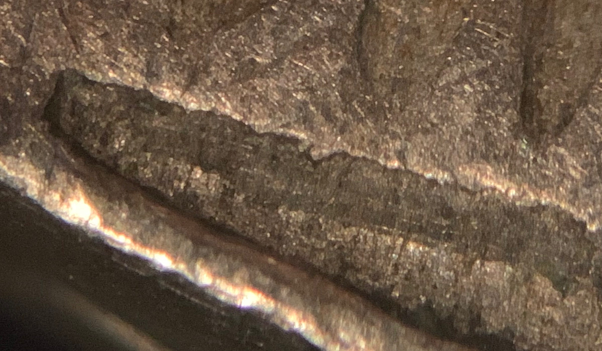 1946-D-Jefferson-Nickel.-Almost-A-Clip?