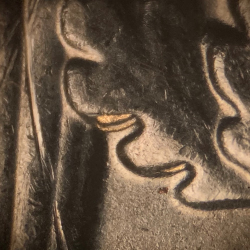 2019-D-Roosevelt-Dime.-Maybe-Not-DDR.