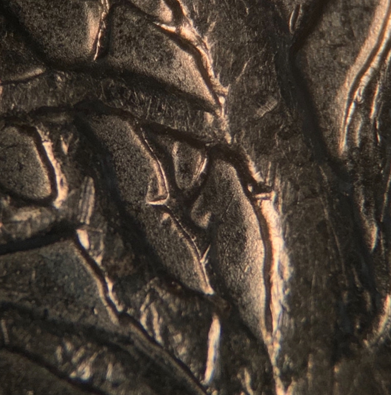 1999-D-Ct.-State-Quarter.-DDR
