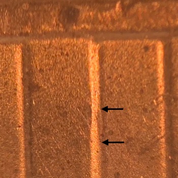 2019-Lincoln-Shield-Cent-DDR
