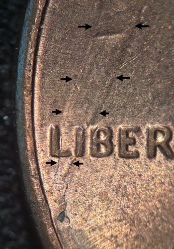 2011-D-Lincoln-Shield-Cent-Lam&peel