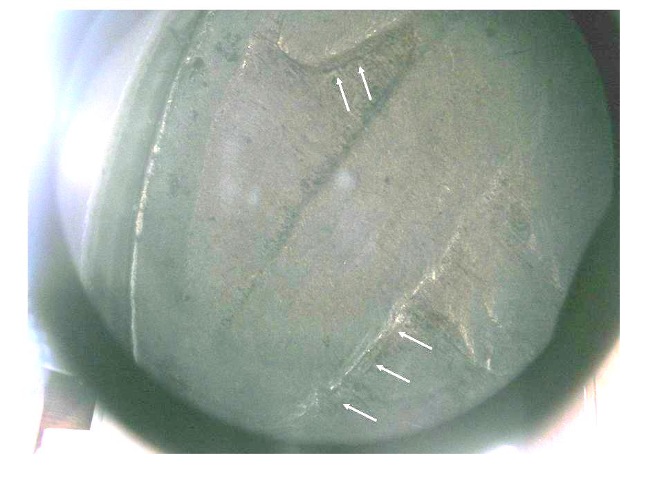 1916-Buffalo-Nickel-16/16-DDO?