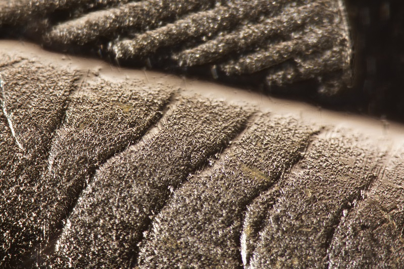 Telling-The-Difference-Between-50%-And-80%-1967-Silver-Quarters/Dimes