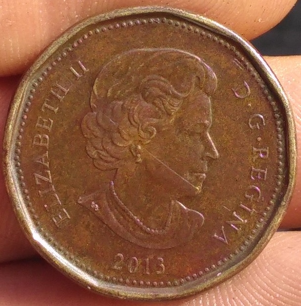 HI-I'm-New-To-This-Forum,-I-Got-A-Random-Wierd-Loonie
