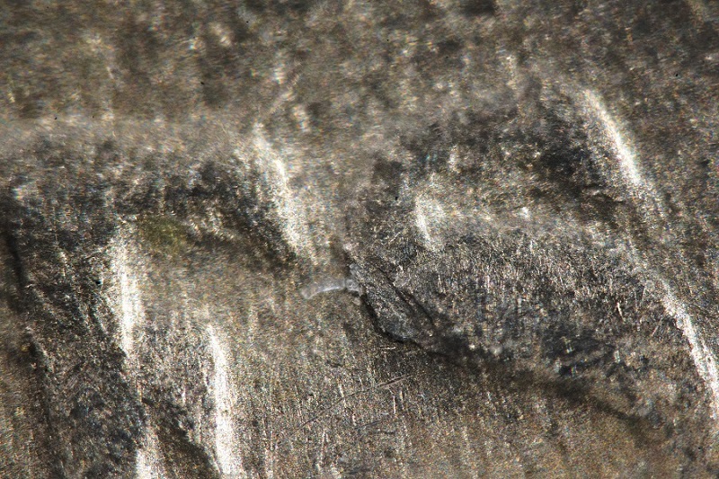 Extreme-Macro-Coin-Photography