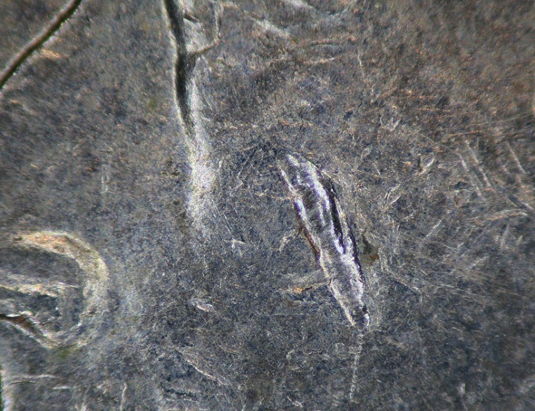 Died-Weld--Repairs-And-Patches