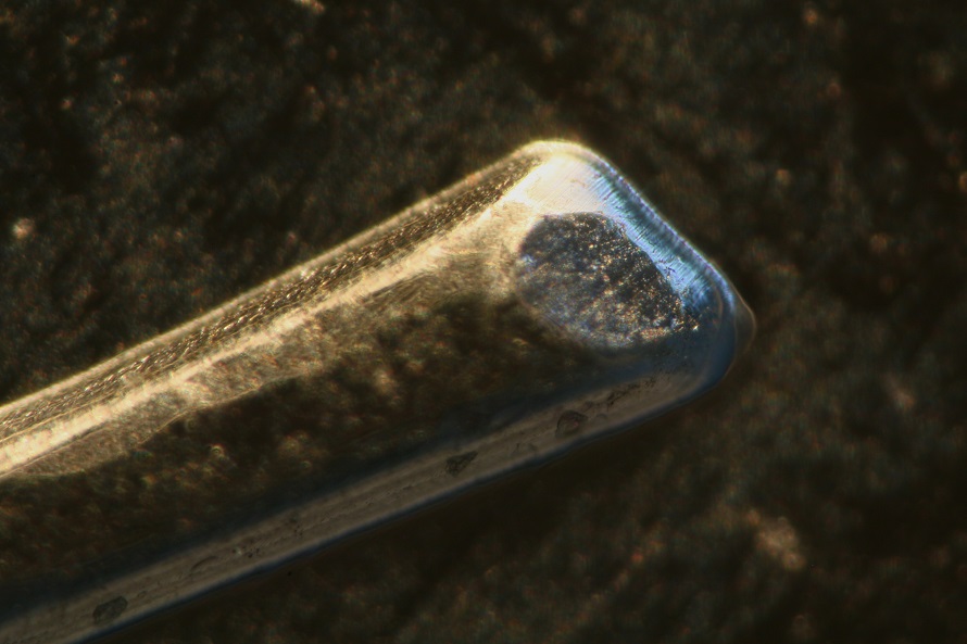 Canadian-Coin-Hologram-Issue