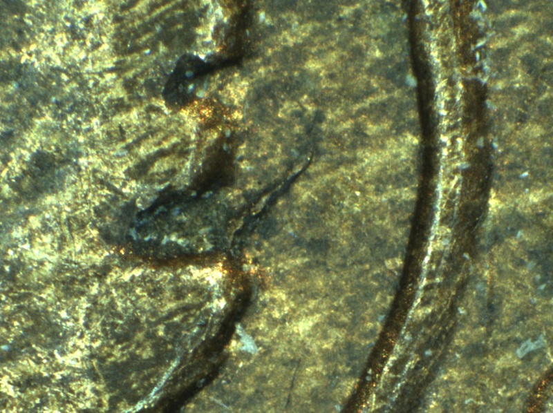 1897-Canadian-1-Cent-Doubled-Punched-C
