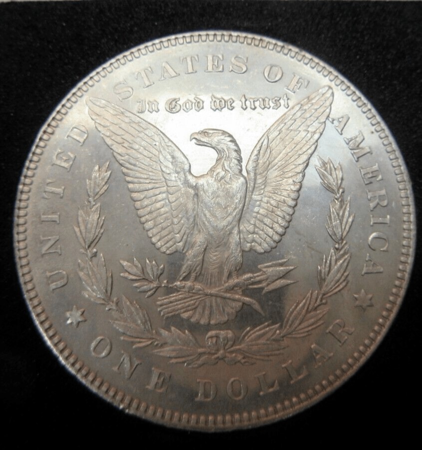 1878-P-7TF-Morgan-Dollar-For-Grading-Thoughts