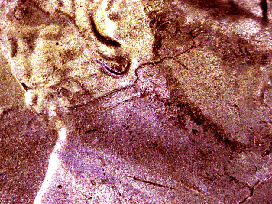 2019-D-Penny-With-Planchet-Defects