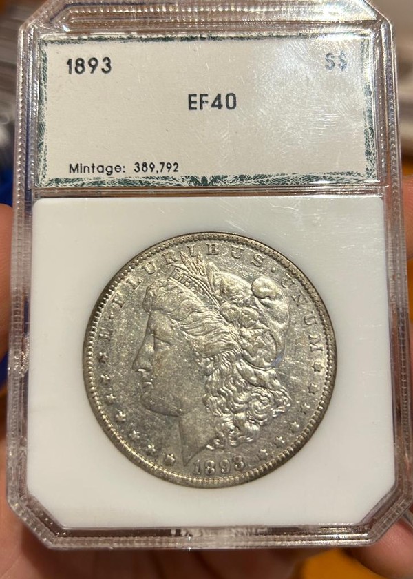 1893-P-Morgan-Dollar-In-PCI-Holder
