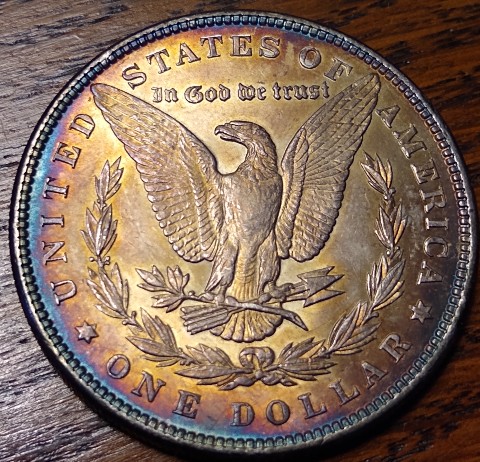 1884-P-Morgan-Dollar-Album-Toning