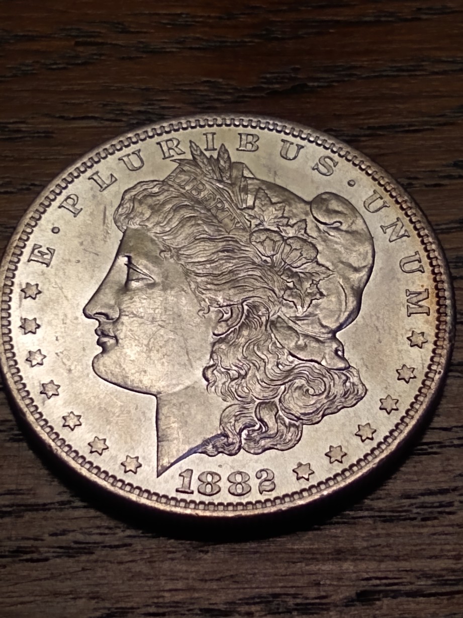 1882-S-Morgan-Dollar-Thoughts-Please