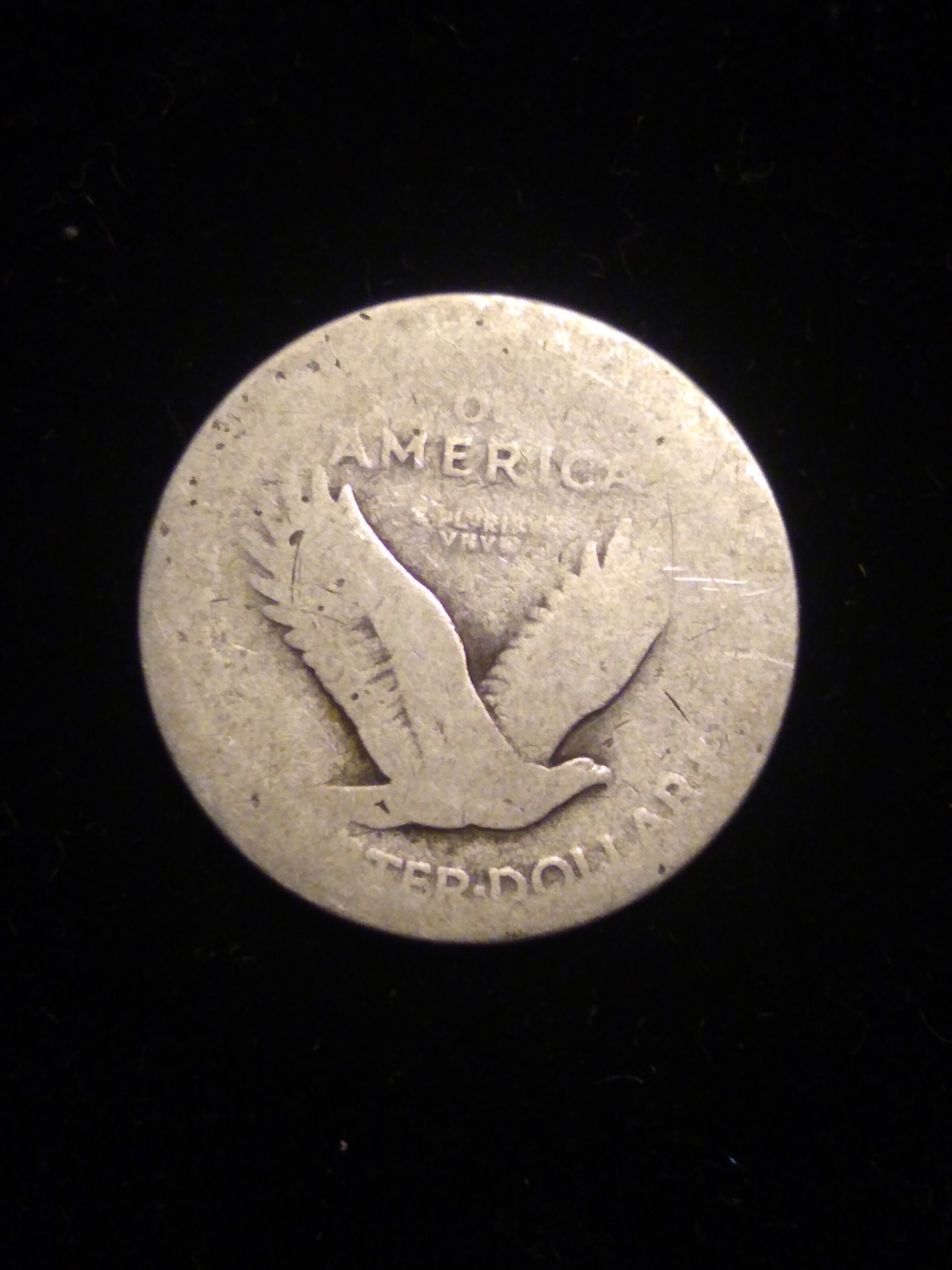 SLQ-Type-1-Cull.-Not-Much-Left-.