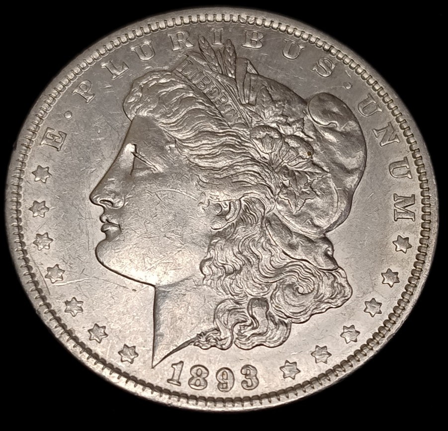 1893-P-Morgan-Dollar-Thoughts-Please