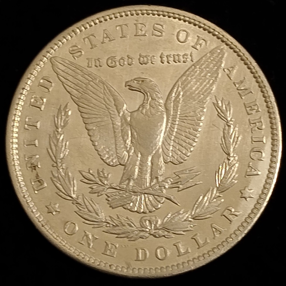 1893-P-Morgan-Dollar-Thoughts-Please