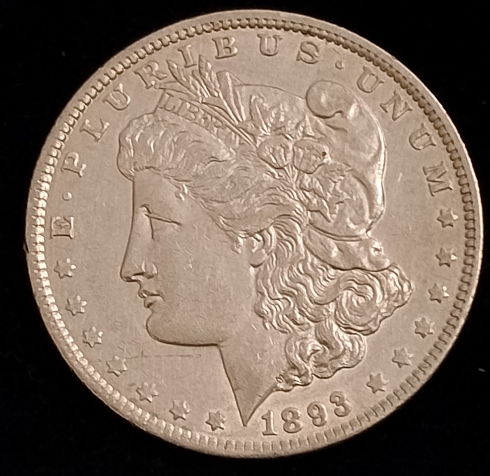 1893-P-Morgan-Dollar-Thoughts-Please