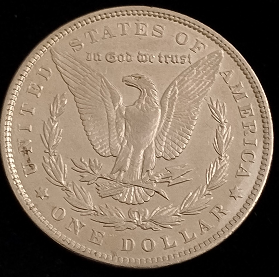 1893-P-Morgan-Dollar-Thoughts-Please