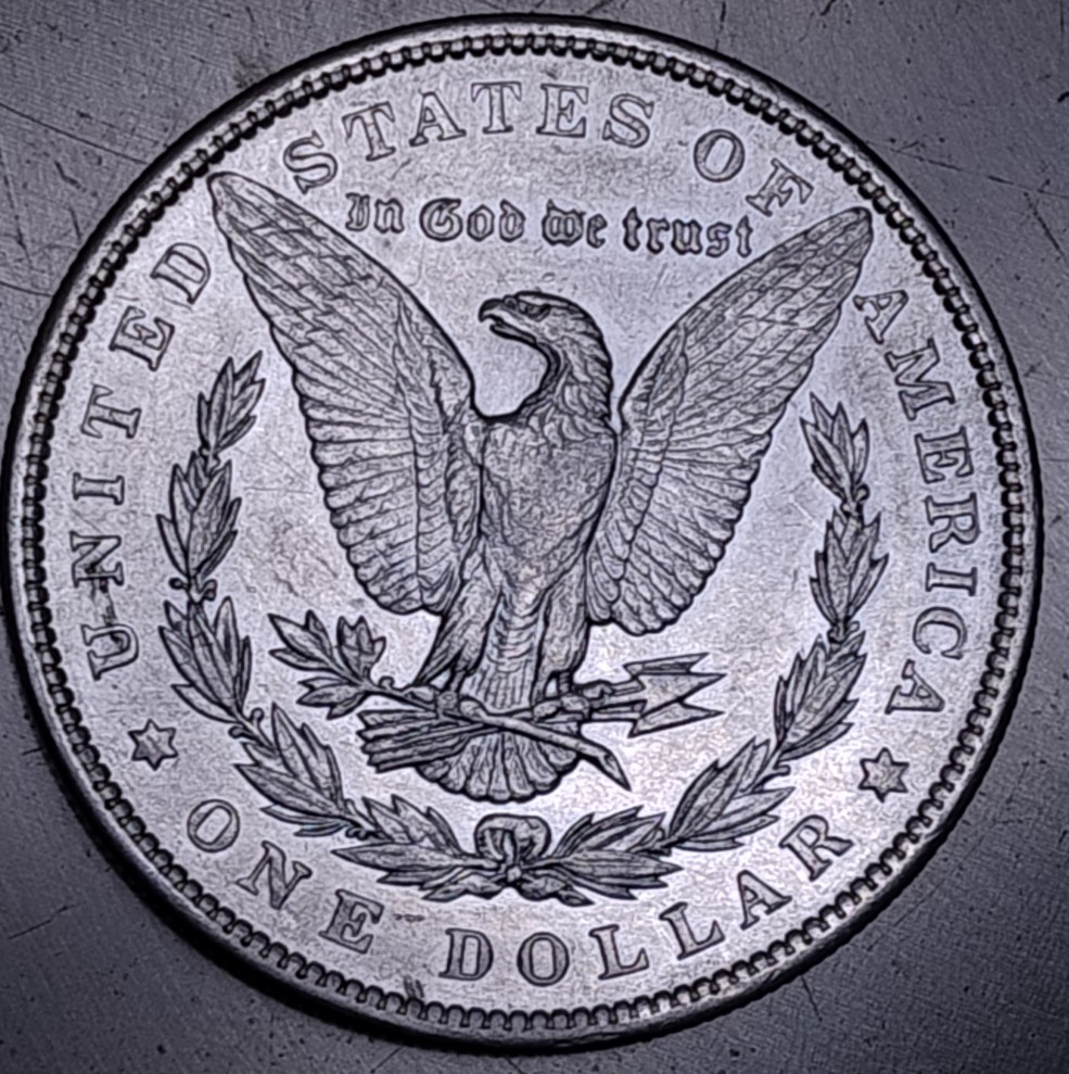 1893-P-Morgan-Dollar-Thoughts-Please