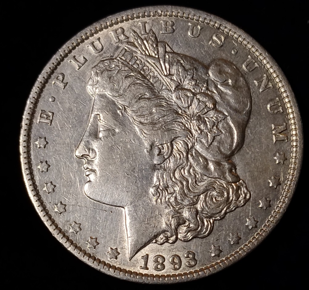 1893-P-Morgan-Dollar-Thoughts-Please