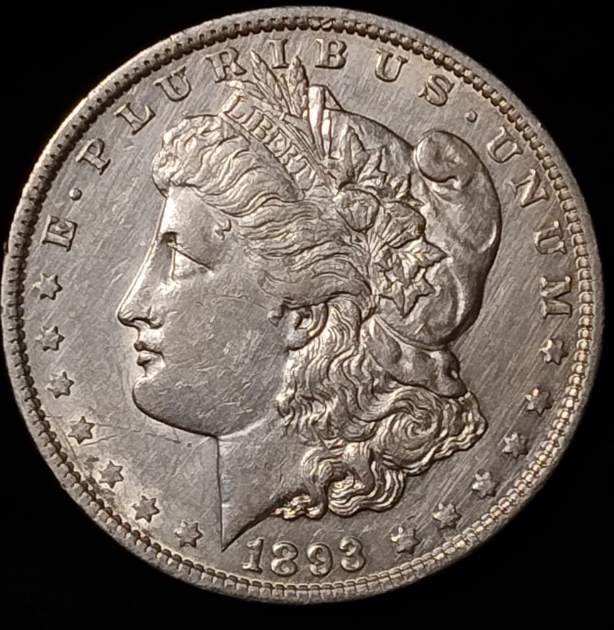1893-P-Morgan-Dollar-Thoughts-Please