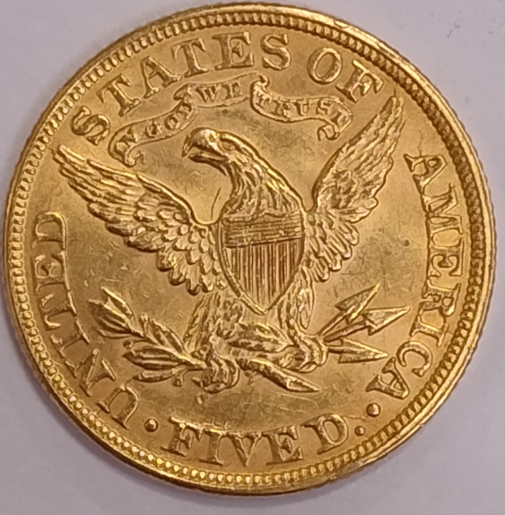 1895-P-$5-Liberty-Thoughts-And-Opinions-Please