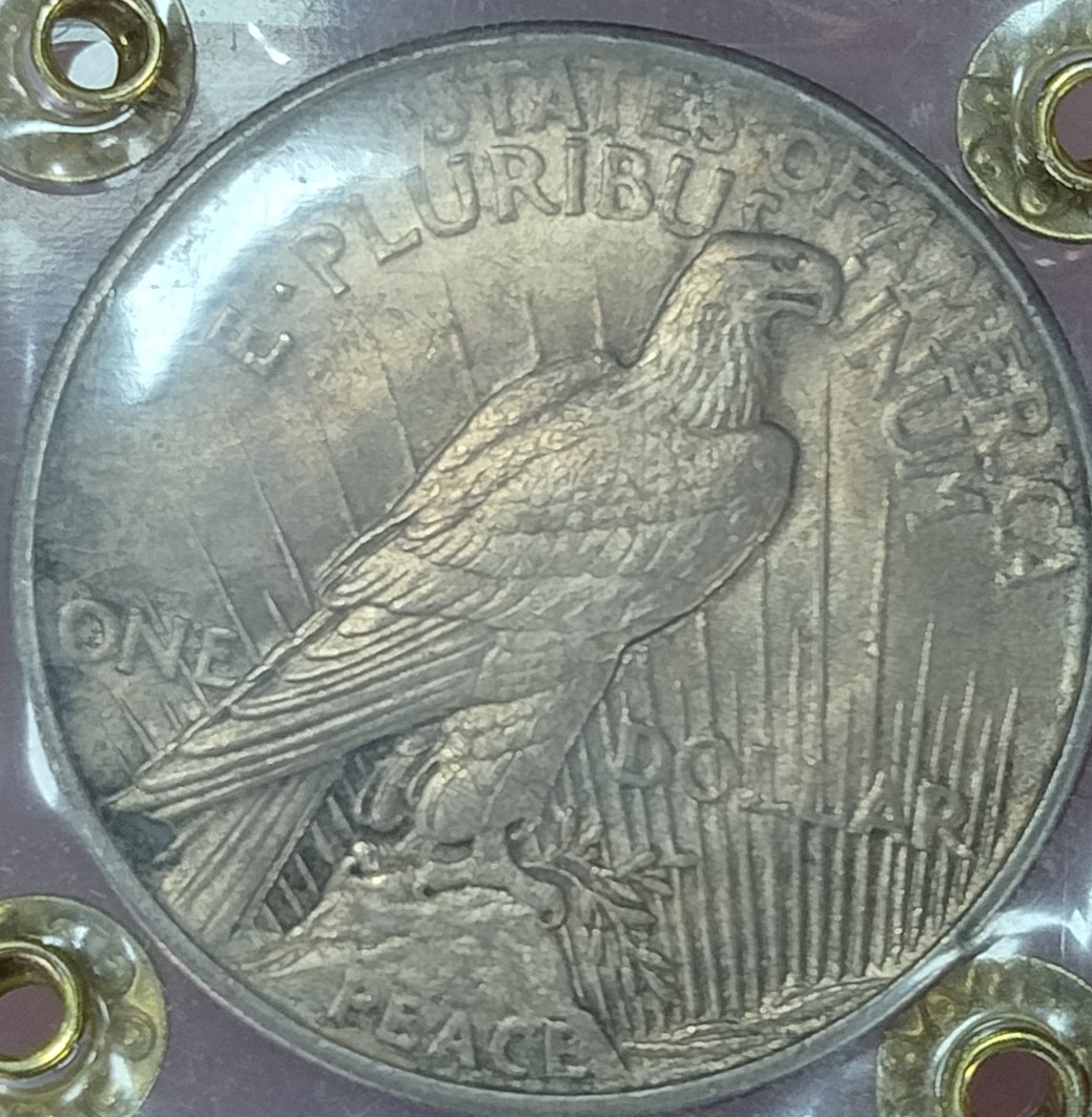 1921-P-High-Relief-Peace-Dollar-Another-One