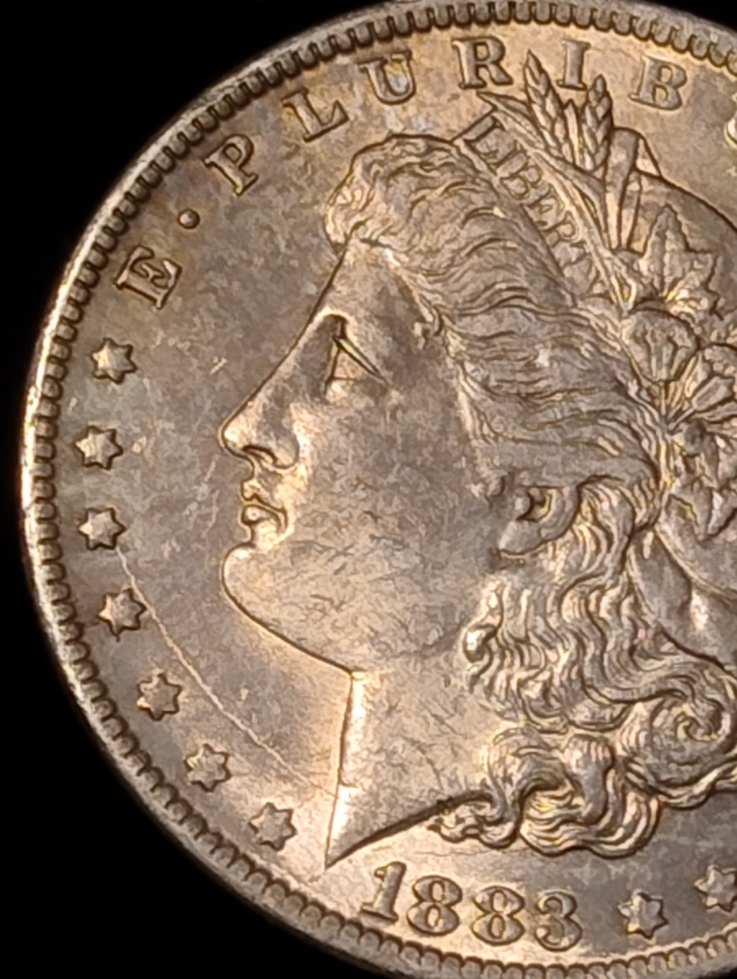 1883-O-Morgan-Dollar-Die-Crack.-VAM-And-Grade-Thoughts-Please