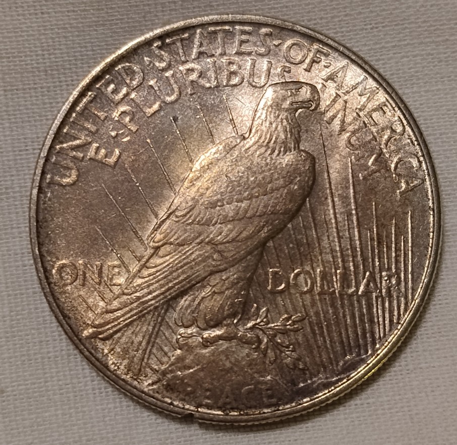 1922-Peace-Dollar---Worth-A-Dip-Or-Bullion-Tube?