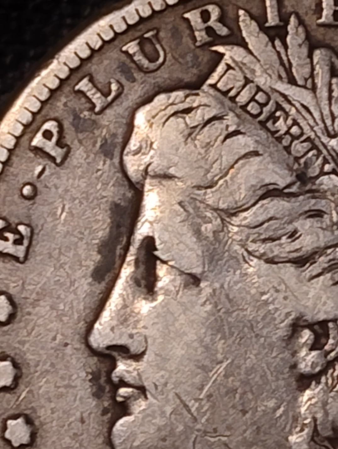 1890-CC-Morgan-Dollar-Grade-Thoughts-Please