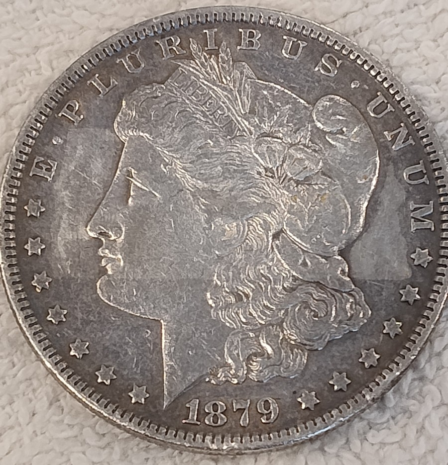 1879-P-Morgan-Dollar-Strange-Obverse-Patina-Outline?-Or-Am-I-Completely-Imagining-This?
