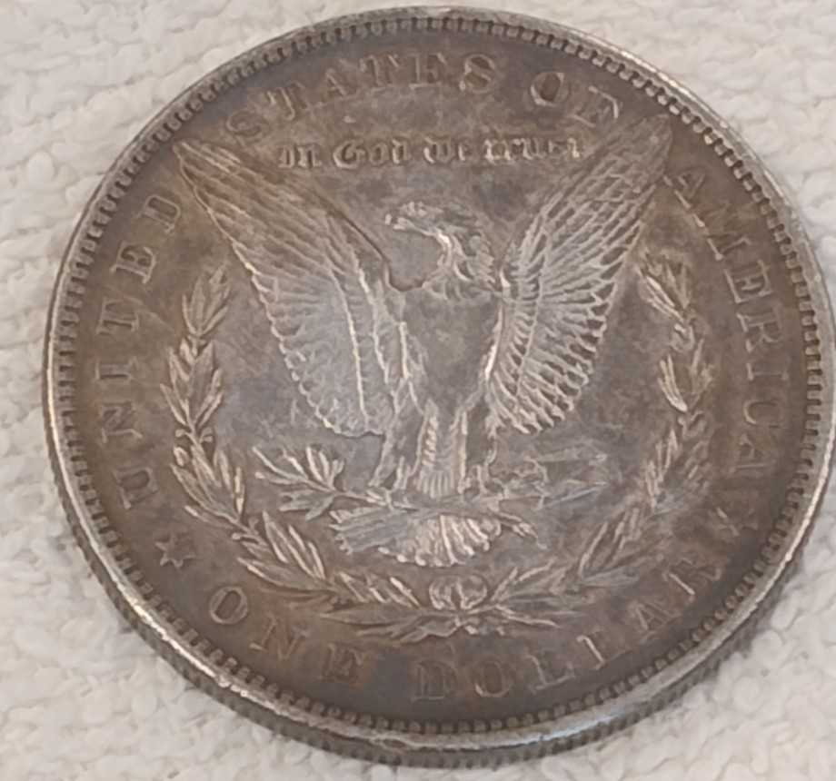 1879-P-Morgan-Dollar-Strange-Obverse-Patina-Outline?-Or-Am-I-Completely-Imagining-This?