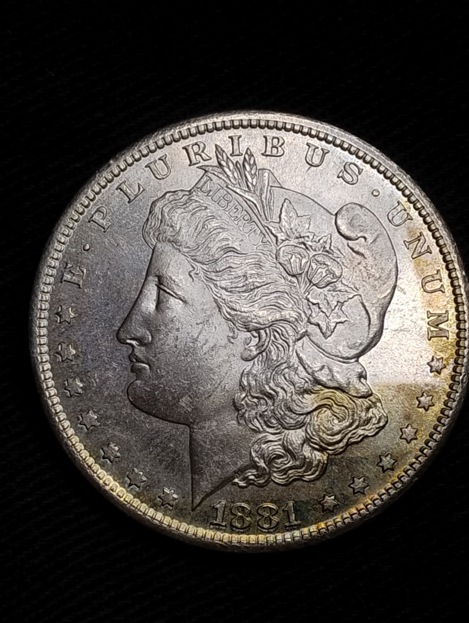 1881-S-Morgan-Dollar;-Worth-Grading?