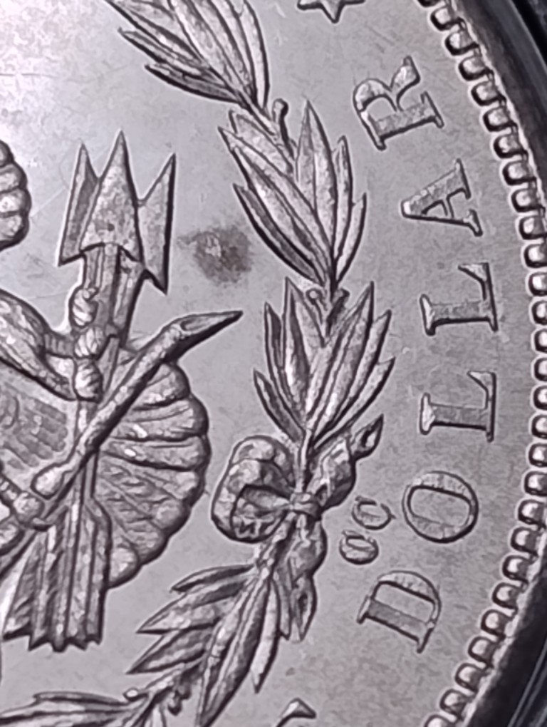 1884-CC-Morgan-Dollar-;-Worth-Grading-?