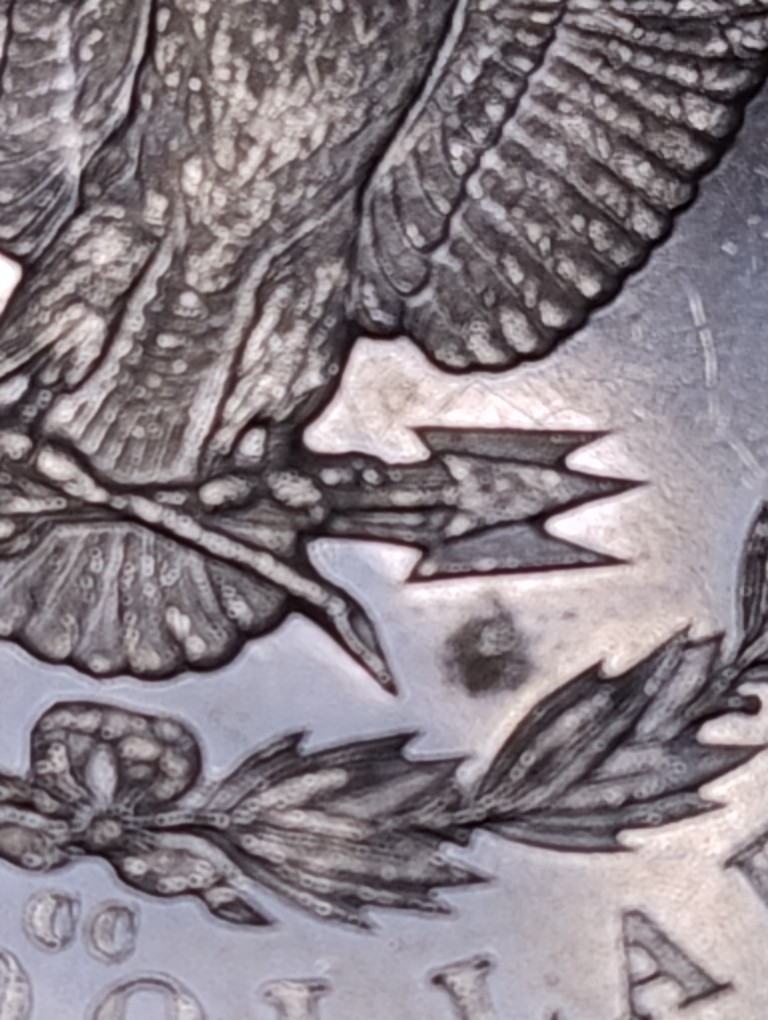 1884-CC-Morgan-Dollar-;-Worth-Grading-?
