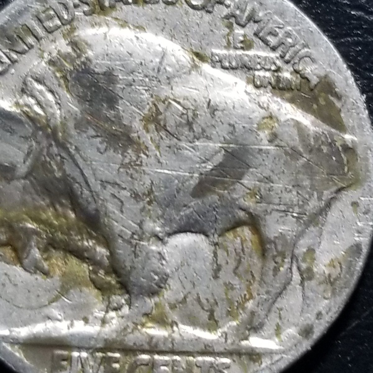 Unidentified-Buffalo-5-Cent-Error--Help