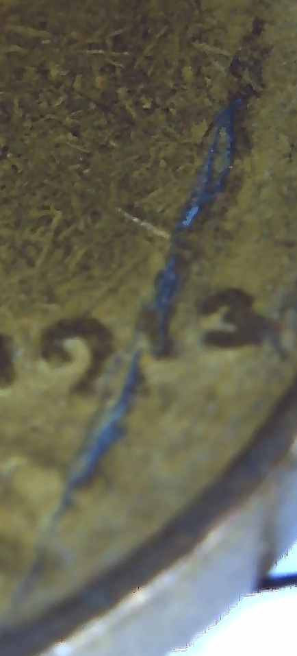 1913-Cent---Is-This-A-Lam?