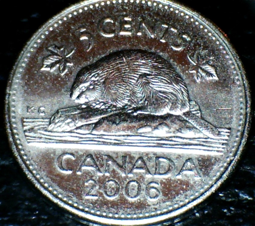 2006-Nickel-Possible-Error?