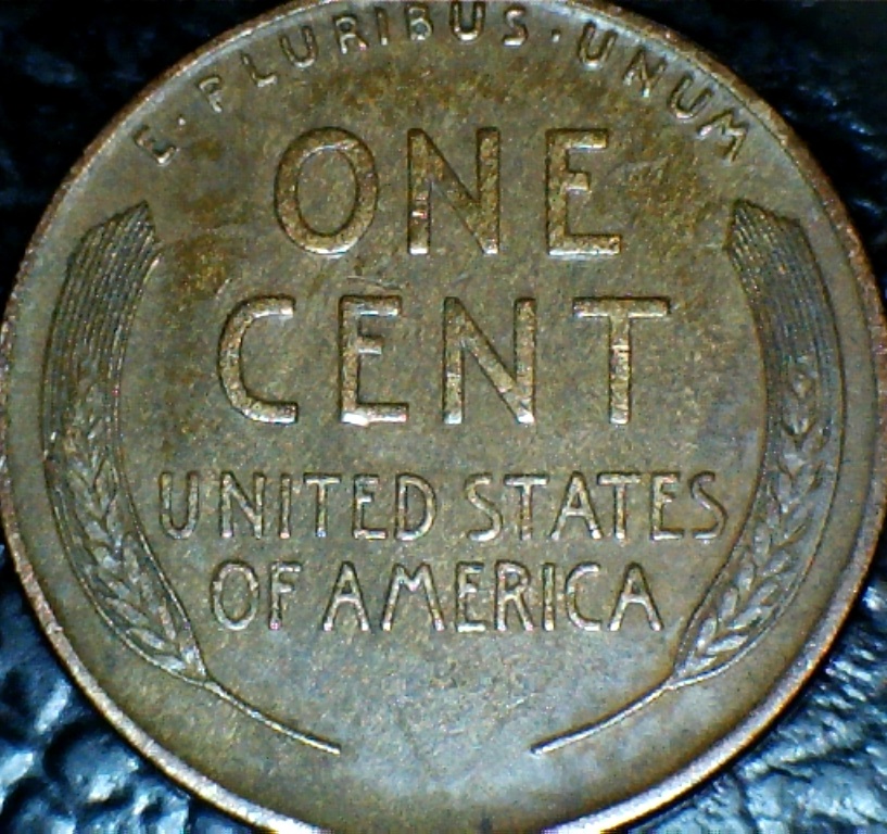 1915-D-LWC-Possible-Woody