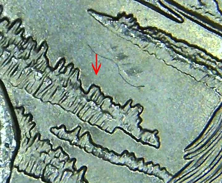 2015-P-Delaware-Quarter-Extra-Element